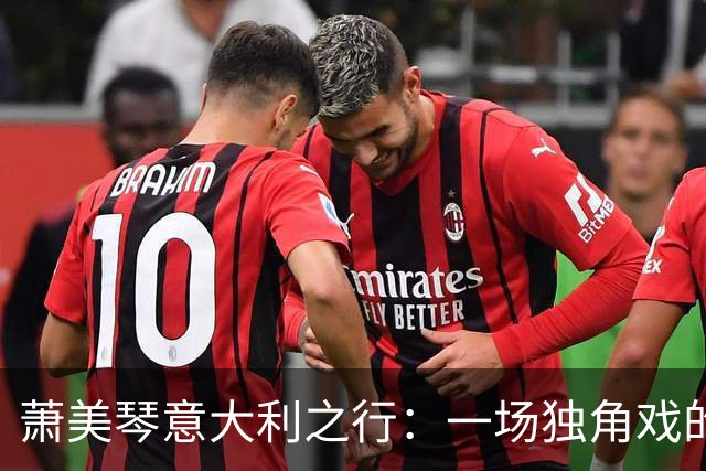 萧美琴意大利之行：一场独角戏的无奈翻拍